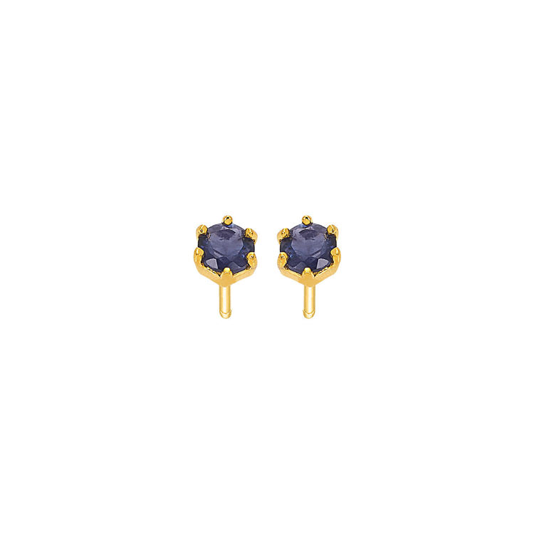 Picture of EARRING WITH IOLITE